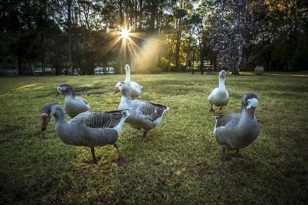 Mccarthy Lake House Guest House Maleny Australia